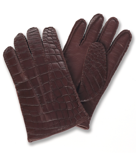 Alligator Gloves