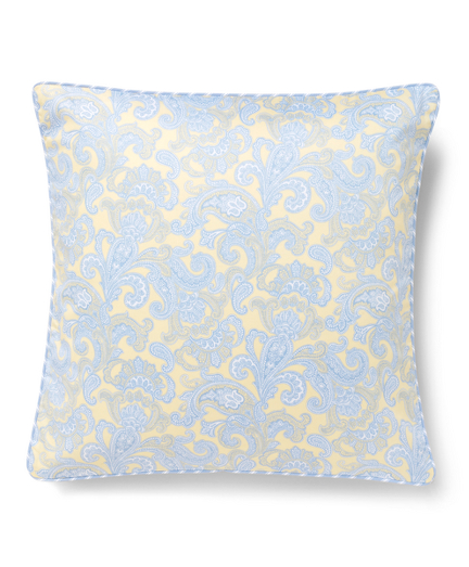 Paisley and Stripe Decorative Pillow Case