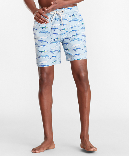 whale swim trunks