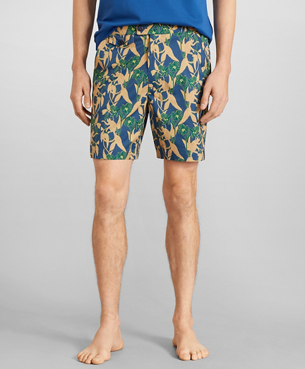 brooks brothers mens shorts