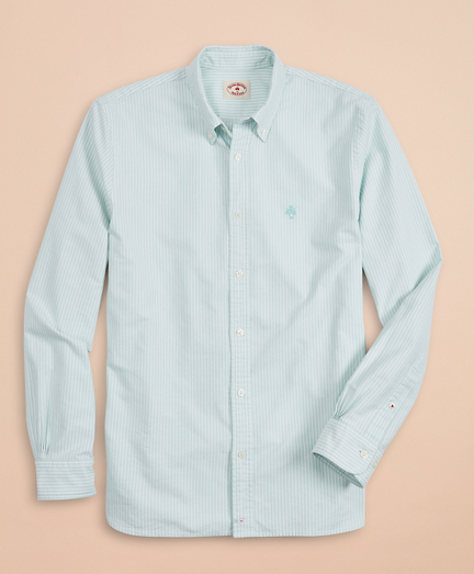 cotton oxford sport shirt