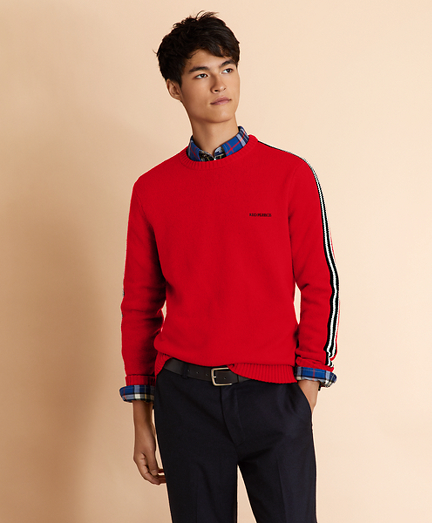 Striped Sleeve Crewneck Sweater