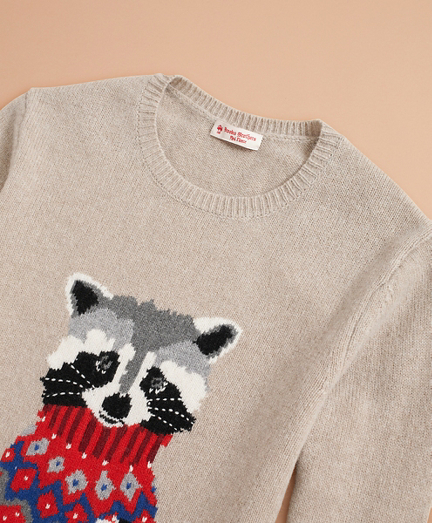 raccoon sweater