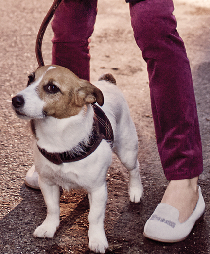 brooks brothers dog collar